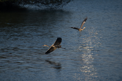 夏日海滩创作营