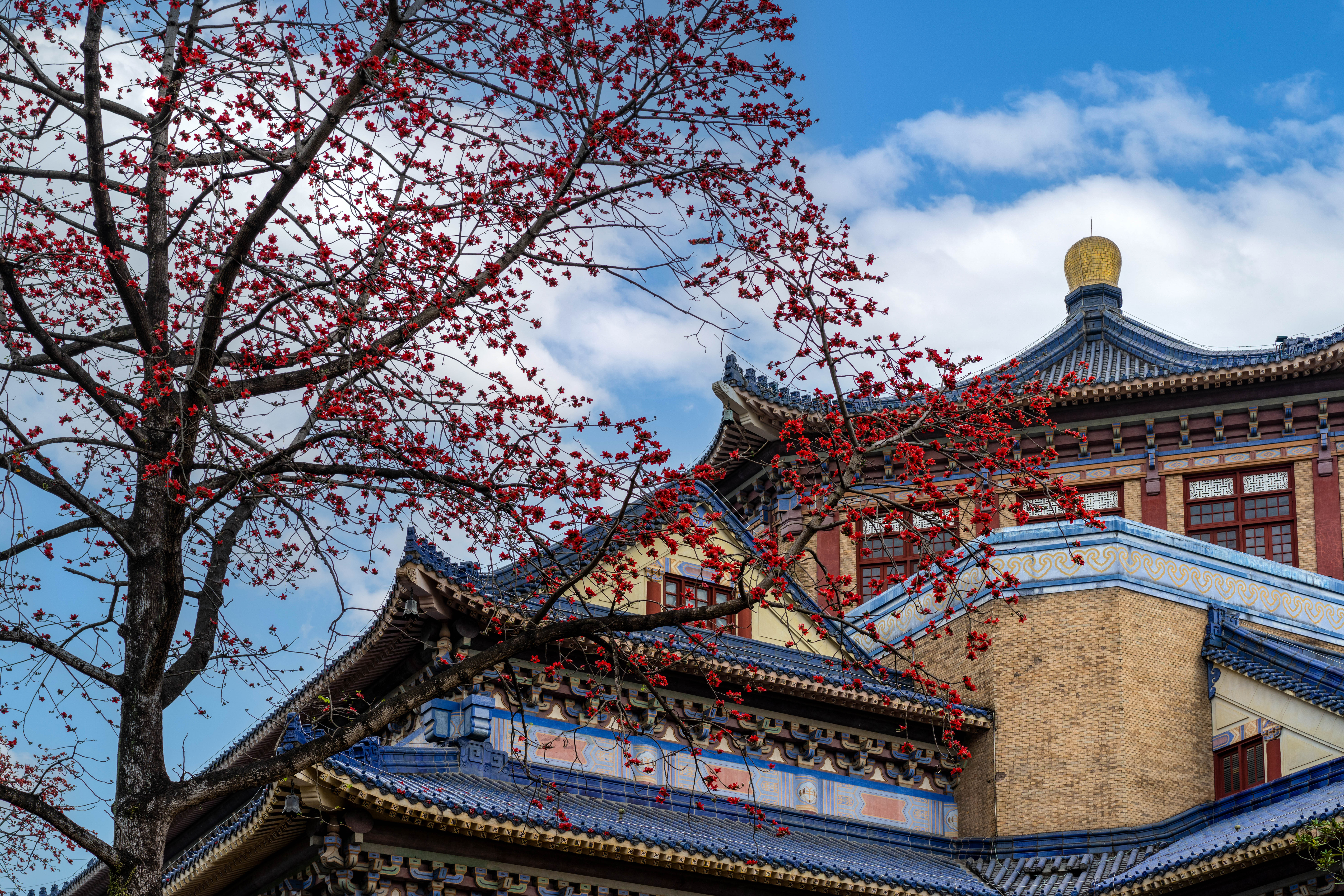 夏日海滩创作营